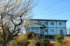 CIMG1152 - コピー