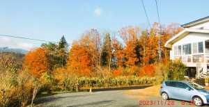 CIMG1075 - コピー