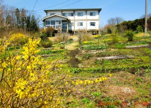 CIMG1282 - コピー