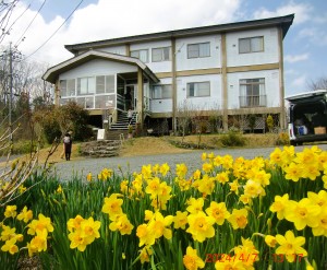 CIMG1264 - コピー