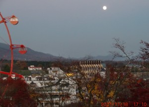 CIMG0041 (2)