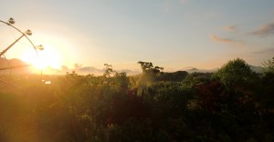 CIMG0825 (2)