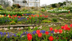 CIMG0197 - コピー